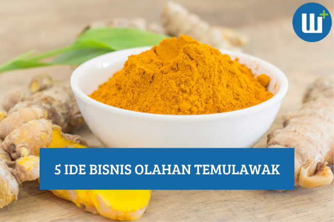 5 Ide Bisnis Olahan Temulawak, Simak!